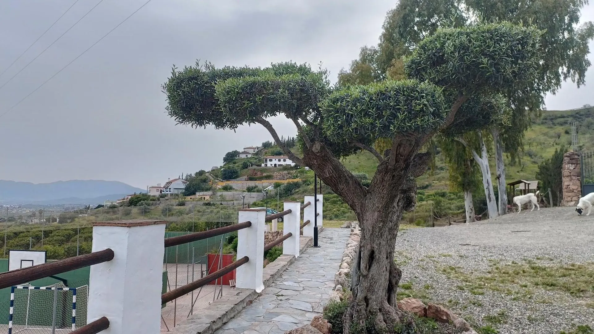 La Cochera Malaga